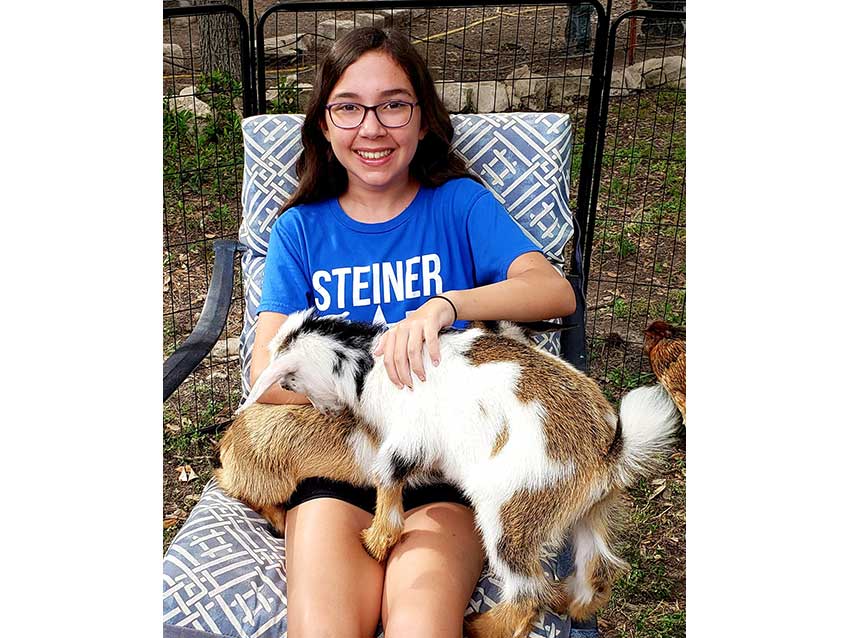 Art Barn ATX goats Art Barn ATX goats