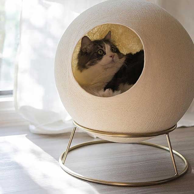 Stellar Cat Bed Stellar Cat Bed