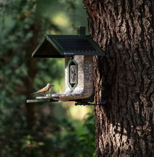 FeatherSnap Smart Bird Feeder