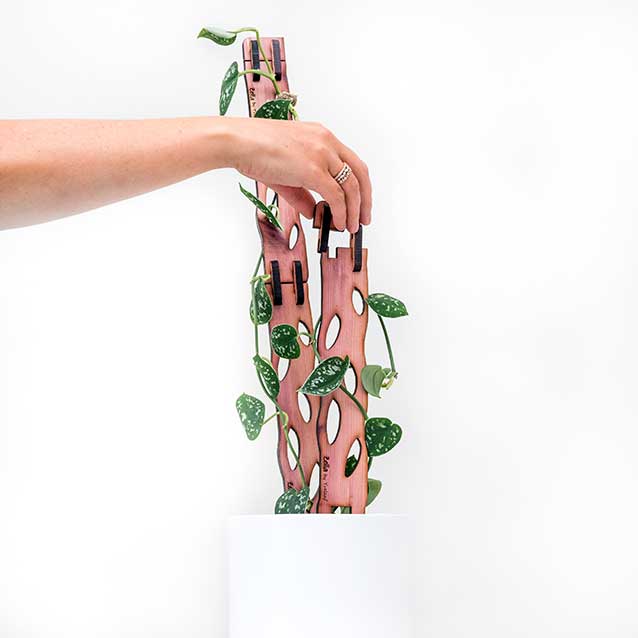 Treleaf Wooden Plant Trellises
