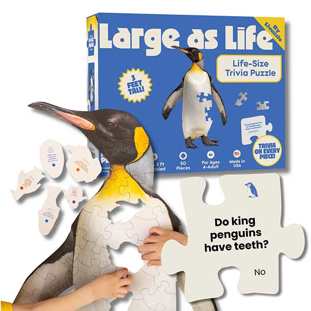 Livuzzle King Penguin Trivia Puzzle Livuzzle King Penguin Trivia Puzzle