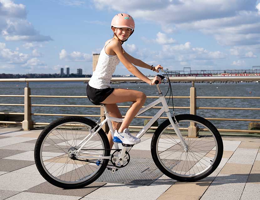 Priority Launchpad 26" Bicycle