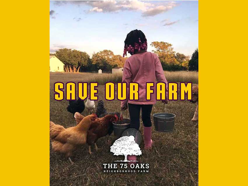 Save The 75 Oaks Save The 75 Oaks