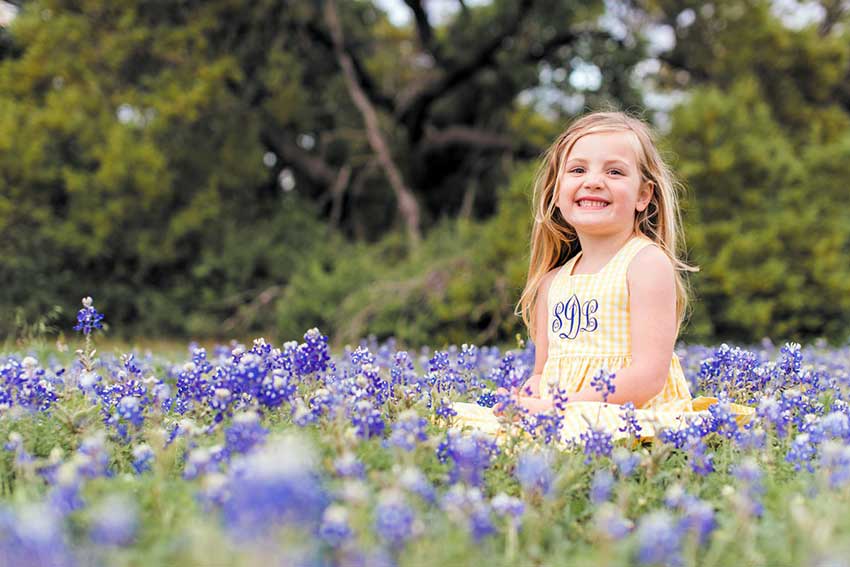 Bluebonnet Minis